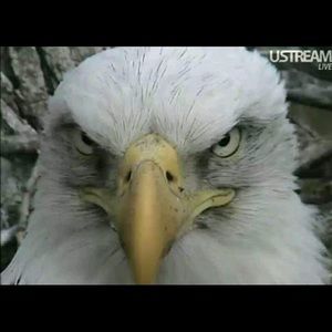 Meet your Posher, Nickolas